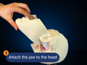PHACON Mixed Reality Trainer | Setup Guide The Patients for your Surgical Demonstration and Education