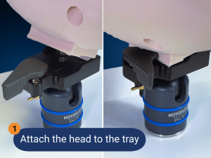 PHACON Mixed Reality Trainer | Setup Guide The Patients for your Surgical Demonstration and Education