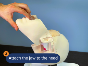 PHACON Mixed Reality Trainer | Setup Guide The Patients for your Surgical Demonstration and Education