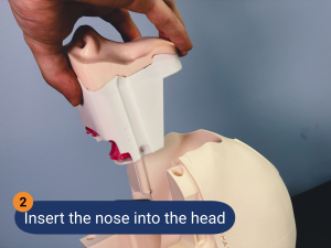 PHACON Mixed Reality Trainer | Setup Guide The Patients for your Surgical Demonstration and Education